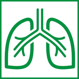 呼吸科标志图片